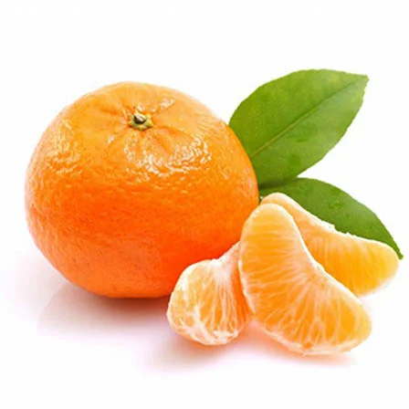 Mandarines fraîches – 1 kg – Douceur et fraîcheur à chaque bouchée - Vins Rouges Harmonieux pour Chaque Occasion Confiture Bio de Mandarine de Menton 220g – MAISON GANNAC