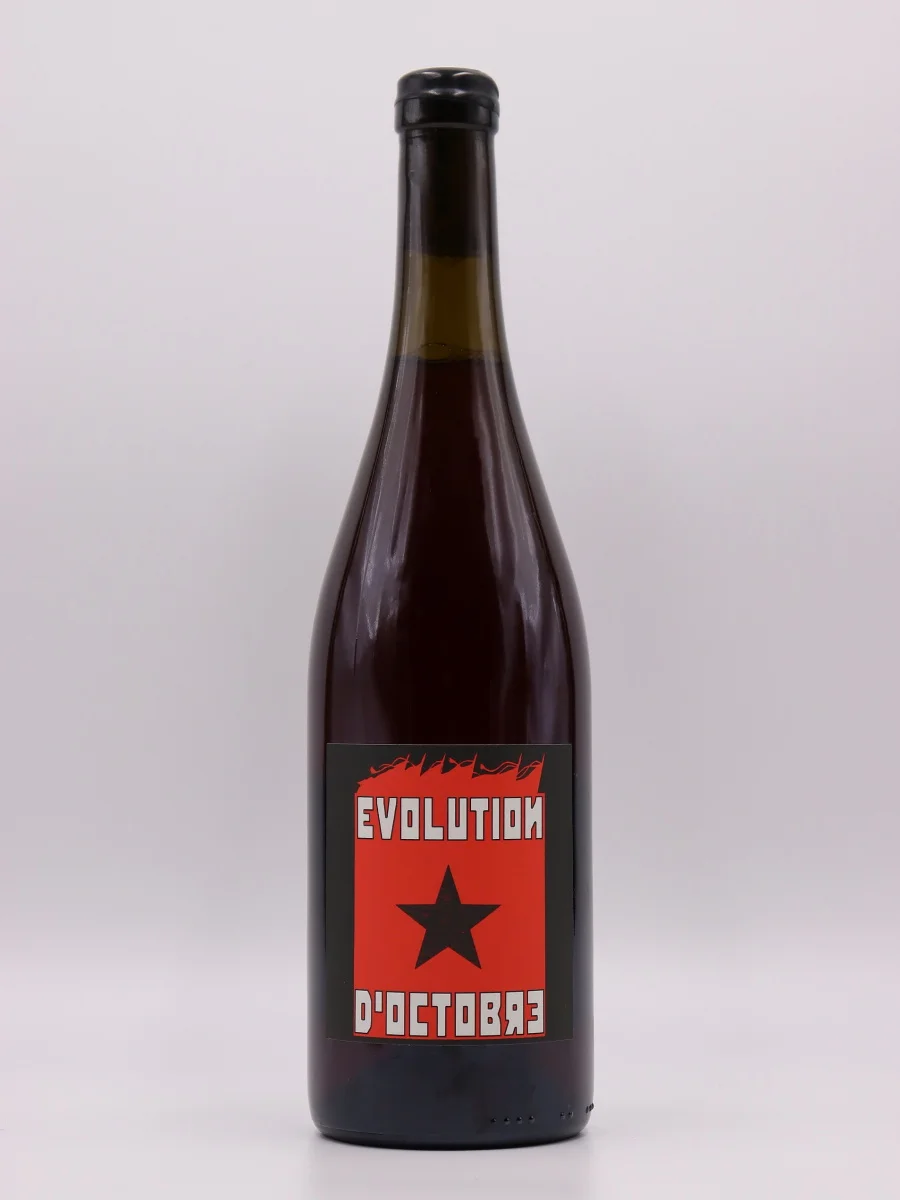 Evolution d’Octobre - Vins Rouges Harmonieux pour Chaque Occasion Investir dans le vin en 2026 : rendement réel, frais et fiscalité