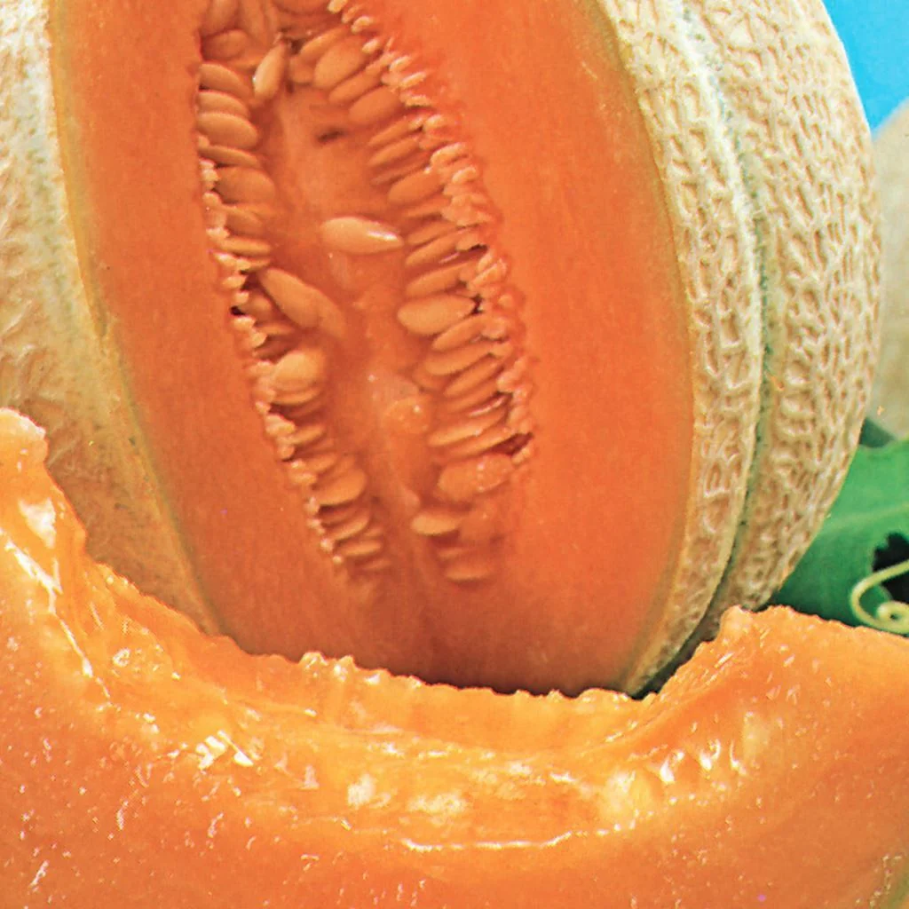 Cantaloup Hearts of Gold - Bio - Saldi Straordinari – Offerte Speciali Disponibili Adesso - pharma nord gold bio
