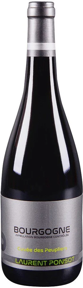 Bourgogne Rouge Cuvée des Peupliers Magnum - Vins Rouges Harmonieux pour Chaque Occasion - perrine peuplier vin occasion