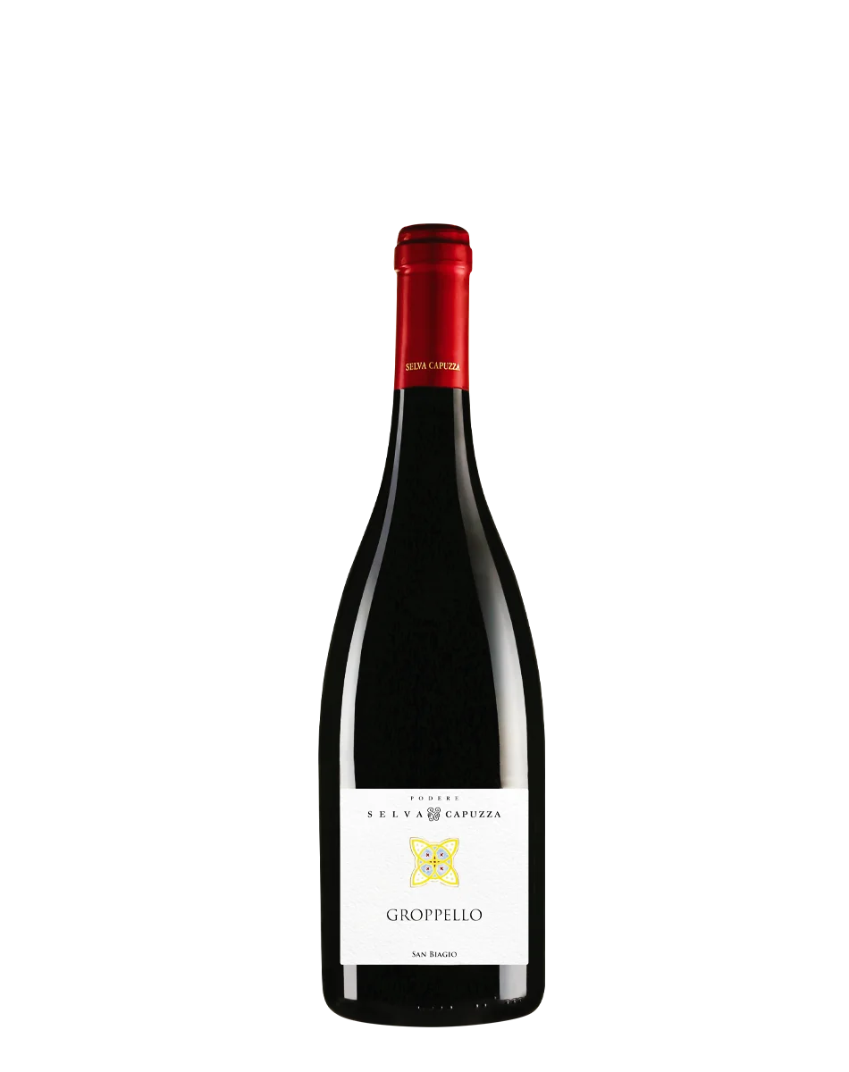 SAN MARTINO DELLA BATTAGLIA DOC - Vins Rouges Harmonieux pour Chaque Occasion Des barriques d'occasion, régénérées ou neuves avec de légers défauts pour  élever les vins à