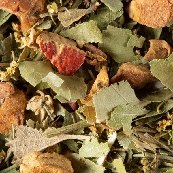 Dammann Frères recharge Tisane Fruits Noirs 50g - Cadeau Vins Rouges Harmonieux pour Chaque Occasion