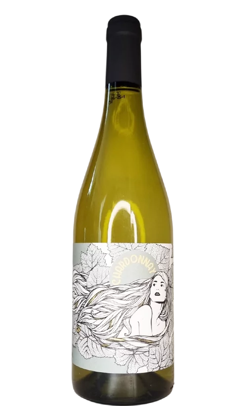IGP Val Loire lsquo;La Muse Chardonnay&rsquo Domaine Moulin Camus Vins Rouges Harmonieux Occasion