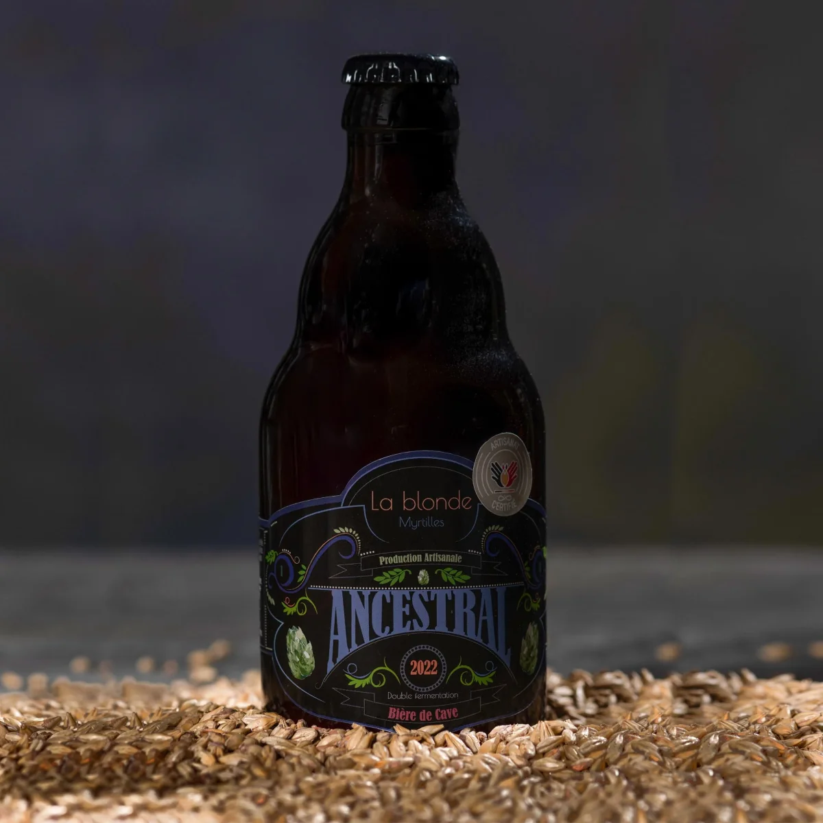Bière Artisanale ANCESTRAL La Blonde aux Myrtilles. 9.9% - Saldi Straordinari – Offerte Speciali Disponibili Adesso Acheter 1664 Bière blanche aromatisée mûre et myrtille. 4.5°, 6x25cl –  Houra.fr