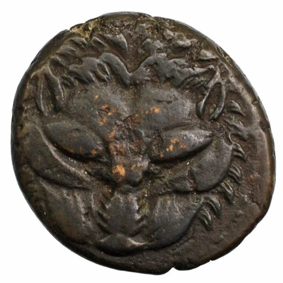 Bruttium Rhegium bronze Rouges Harmonieux Occasion