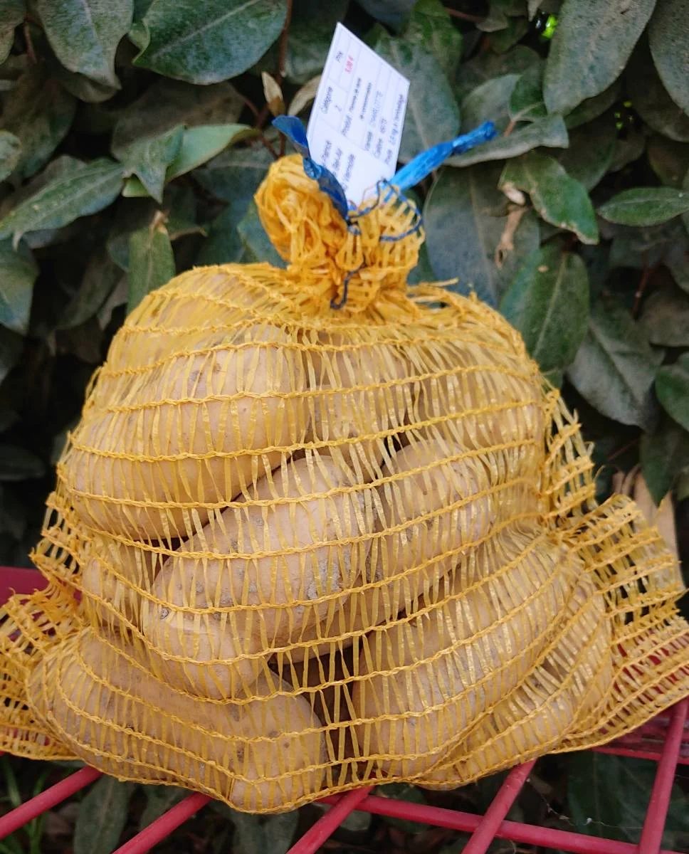 Pomme de Terre -MAIWEN- 2.5kg/5kg/10kg - Saldi Straordinari – Offerte Speciali Disponibili Adesso ❌200FCFA LE KILO DE POMMES DE TERRE 🥔 Ce Vendredi 19 Décembre à Marcory  Cash Zone 4, profitez une nouvelle fois de notre MÉGA PROMO sur les pommes  de terres 🥳 -200fcfa