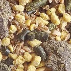 BIO MASH COMPLET 28 – Origine IMPORT - ​Boulangerie-Pâtisserie | Pain au Levain & Viennoiseries​ Achat Promotion La Boulangère Pain de Mie Complet Bio Petites Tranches –  Houra.fr
