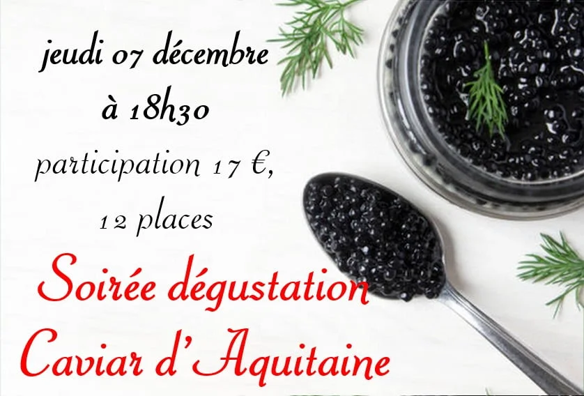 Soirée dégustation Caviar Français à Aix - Vins Rouges Harmonieux Repas pour Chaque Occasion