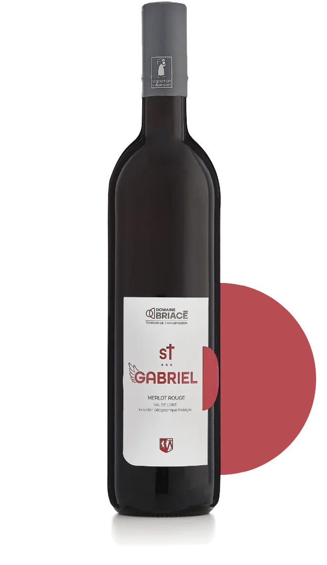 St Gabriel – Rouge - Vins Rouges Harmonieux pour Chaque Occasion Vin Graves Château Saint-Robert - Avis, conseil, vieillissement et prix.