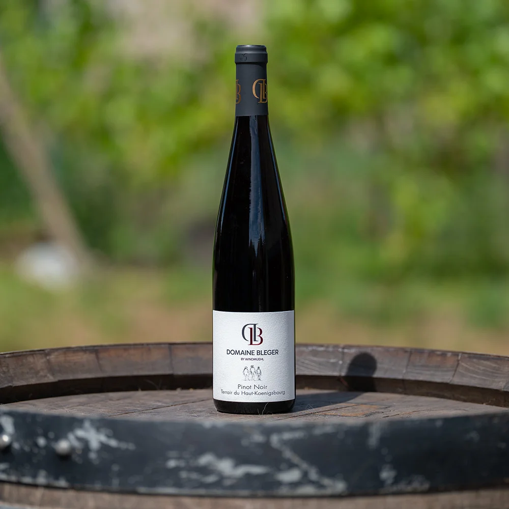 Pinot Noir 2024 - Vins Rouges Harmonieux pour Chaque Occasion TOP 4 des meilleurs vins rouges sans alcool