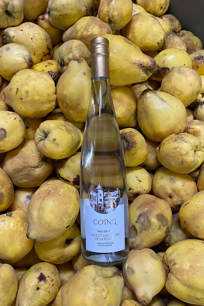 Coing - Vins Rouges Harmonieux pour Chaque Occasion - Poire sauvage