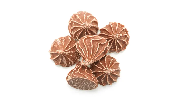 Rosettes au chocolat petites - ​Boulangerie-Pâtisserie | Pain au Levain & Viennoiseries