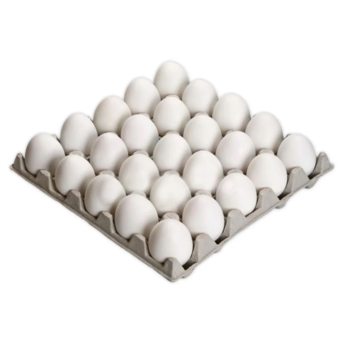 Oeufs de Poulet Blanc - ​Drones Professionnels & Grand Public | Boutique Française​ Agricole