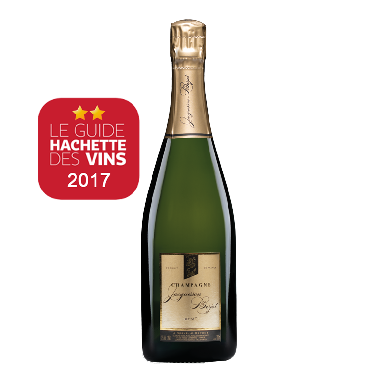 Brut Tradition - Vins Rouges Harmonieux pour Chaque guide Occasion