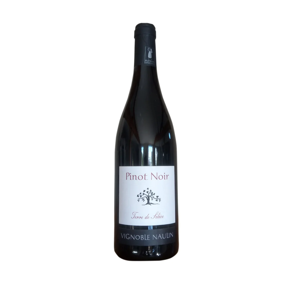 Pinot Noir 2024 – Terre de Silice - Vins Nîmes Rouges Harmonieux pour Chaque Occasion
