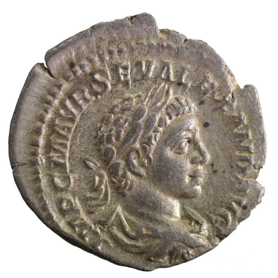 Alexandre Severe denier Rome 222 - Vins Rouges Harmonieux pour Chaque Occasion port