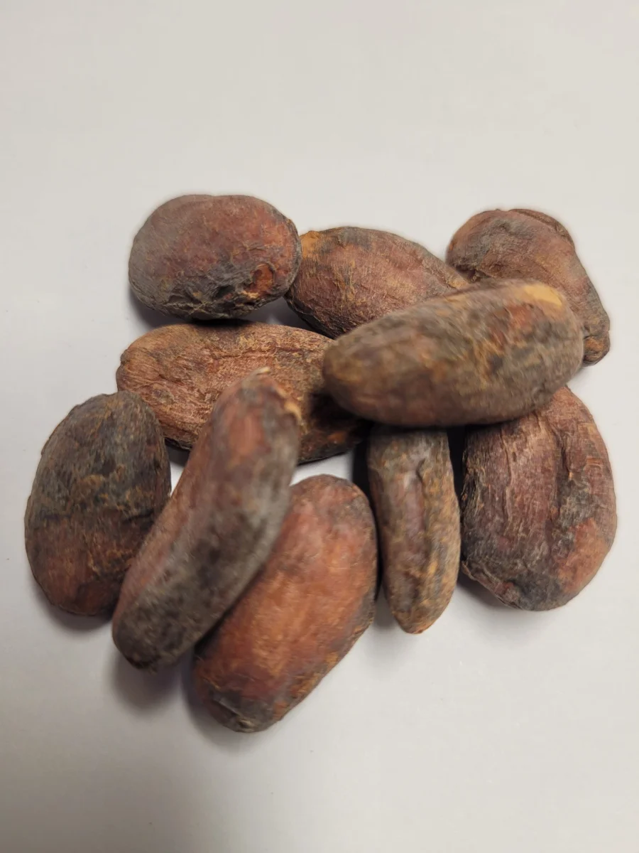FÈVES CACAO net Vins Rouges Harmonieux Occasion