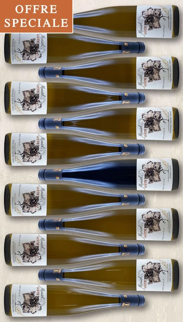 Colis Fiesta Terre Natale 12 btl - Vins Rouges Harmonieux pour Chaque Occasion