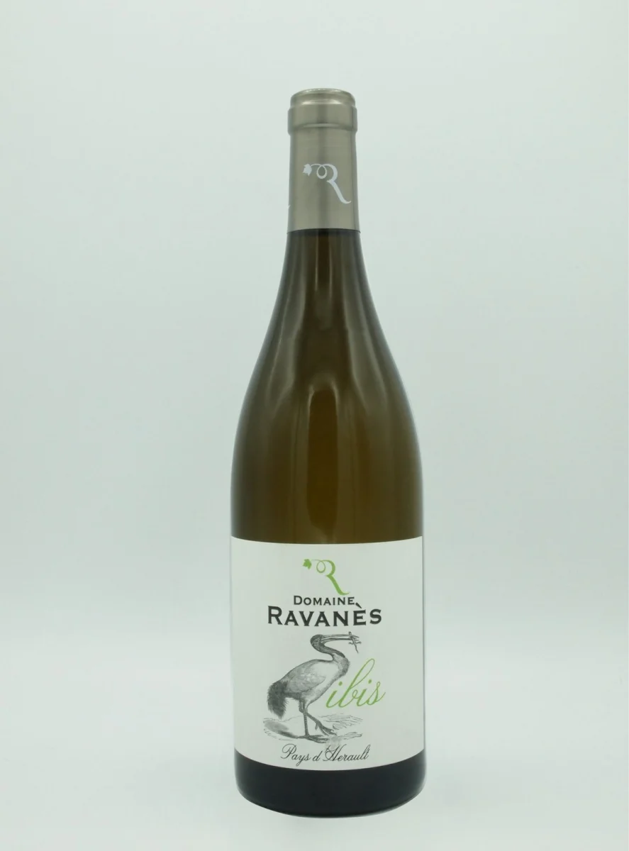 Domaine RAVANES IGP Pays d’Herault « Ibis » 2021 Blanc - Vins Rouges Harmonieux pour Chaque Occasion Commander Vins à Offrir Occasions Spéciales - La Boutique Pierre Amadieu