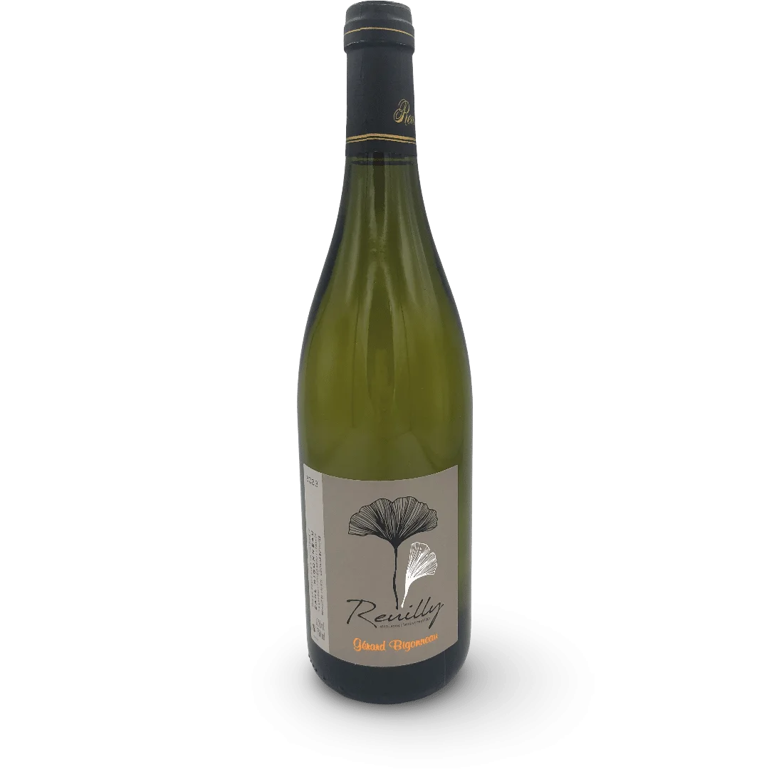 LOIRE REUILLY BLANC DOMAINE BIGONNEAU 2023 - Vins Rouges Harmonieux pour Chaque Occasion - Quincy