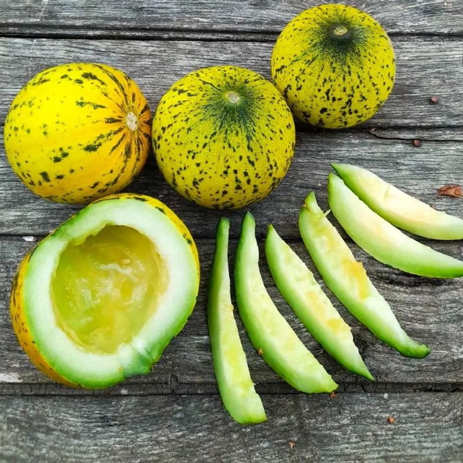 Melon Turkish Leopard Bio - ​Boulangerie-Pâtisserie | Pain au Levain & Viennoiseries​ Viennoiserie - Wikipedia