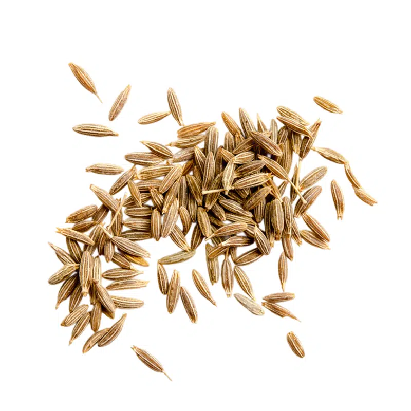 Cumin grain 1 kg - Saldi Straordinari – Offerte Speciali Disponibili Adesso Cumin en graines BIO | Grossiste BIO