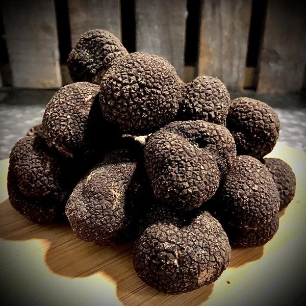 Truffe noire fraîche, provenance Drôme - Vins Rouges Harmonieux pour Chaque Occasion Archives des Beaujolais - Grain cave à vin
