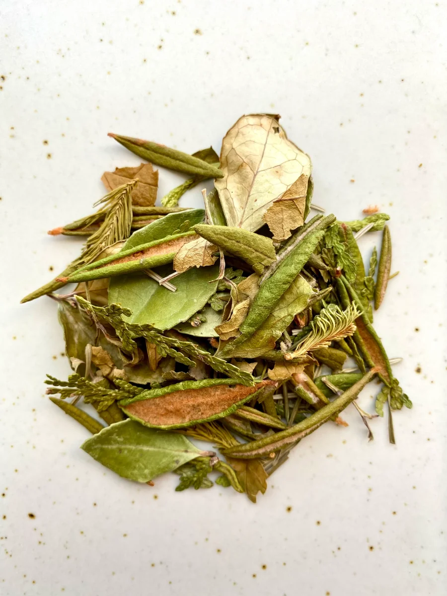 Tisane Sauvage Boréale Saldi Straordinari Offerte Speciali Disponibili Adesso
