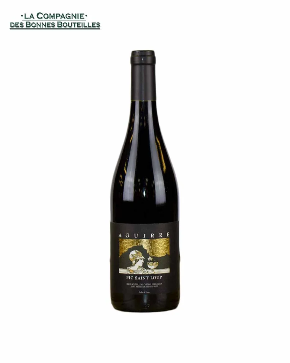 Vin Expression Rouge Pic saint loup Château La Salade Saint Henri- Aguirre - 2018 - 75 cl - Vins Rouges Harmonieux pour Chaque Occasion
