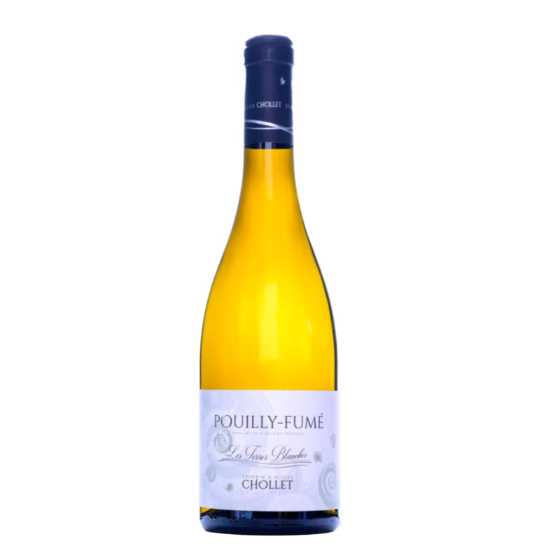 Pouilly Fumé Domaine Chollet Les Terres blanches 2022 - Vins Rouges Harmonieux pour Chaque Occasion - gensac domaine terre vin occasion