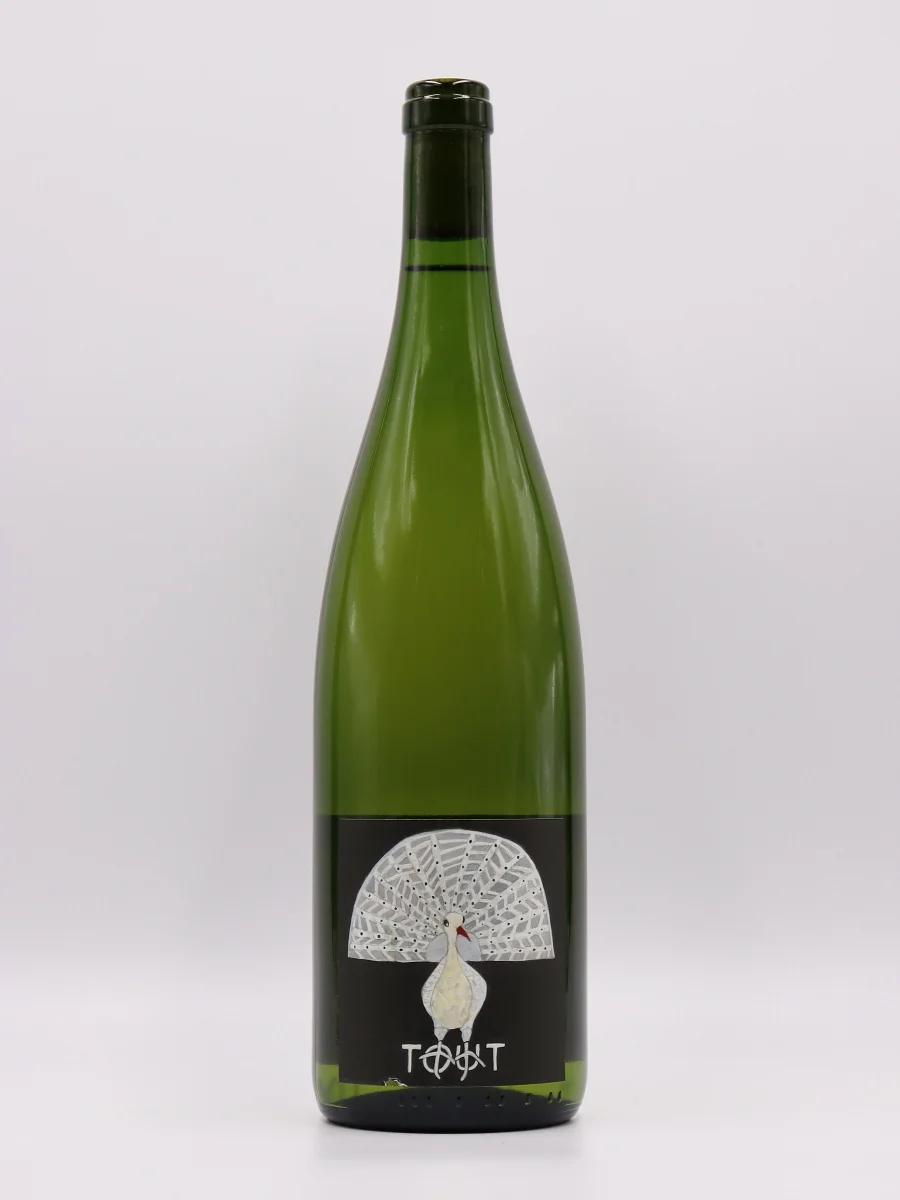 Tout Blanc - Vins Rouges Harmonieux pour Chaque Occasion - vins rouges vin occasion