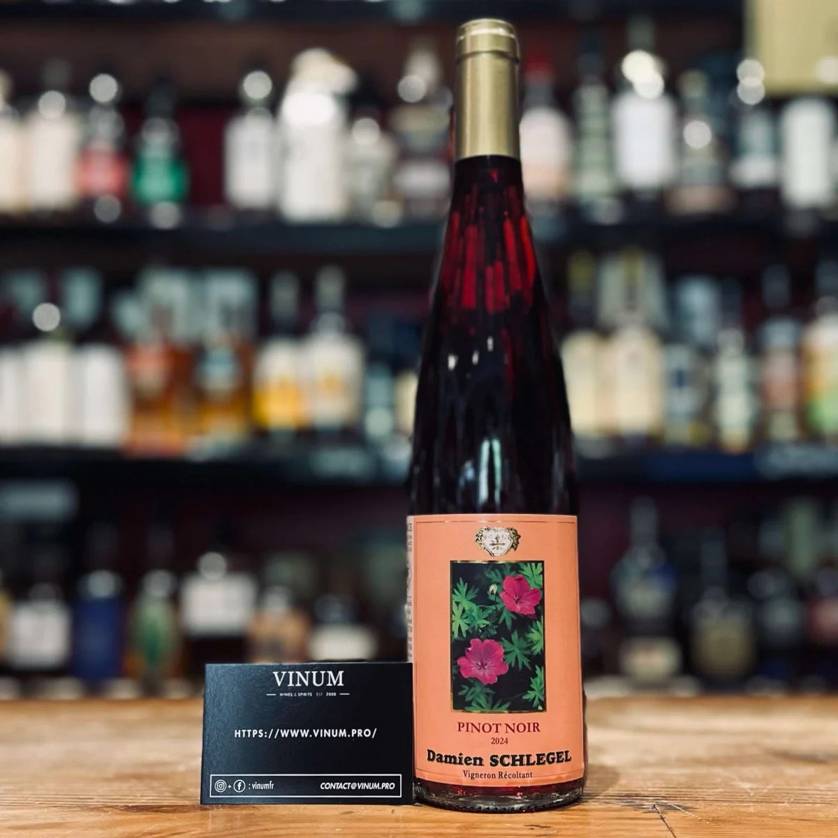 Damien Schlegel Pinot Noir 2024 - Vins Rouges Harmonieux pour Chaque Occasion Accords mets et vins pour chaque occasion - Millesima.fr