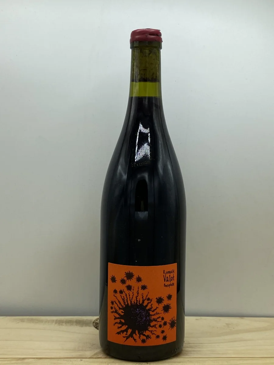 Domaine Les Sauvageons / R Valot – AOP Beaujolais Villages - Vins Rouges Harmonieux pour Chaque Occasion Loire