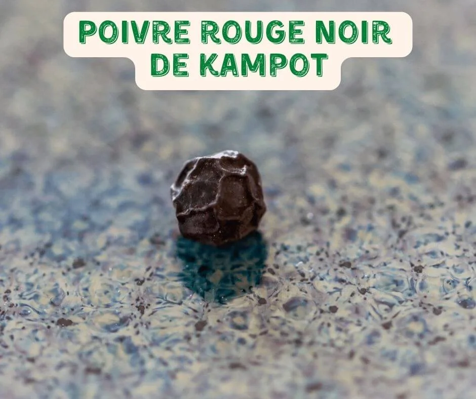Poivre Rouge Noir de Kampot - Édition Limitée – L’Art de la Table Française en Promotion ! Coffret poivres - Achat, utilisation, recettes - Achat, utilisation,  recettes