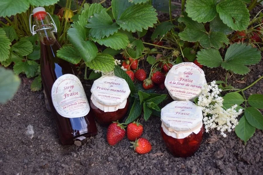 Gelée de fraise - Vins Rouges Harmonieux pour Chaque Occasion - {'count': 1, 'name': 'Cups'}