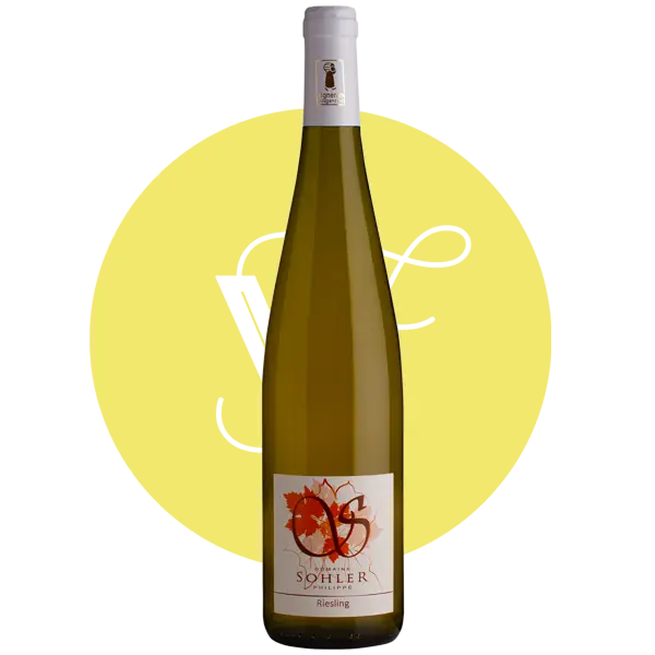 Riesling - Vins Rouges Harmonieux pour Chaque Occasion - didier joris riesling vin occasion