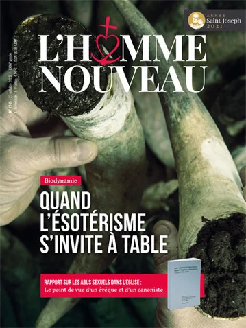 HN 1745 NUM - Vins Rouges Harmonieux pour Chaque Occasion - vitrine hn vin occasion