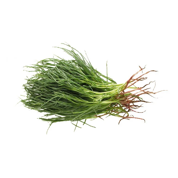 Agretti Vins Rouges Harmonieux Occasion