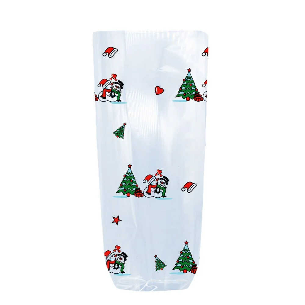 Sachet Polypro avec le Fond en Carton – 140 x 305 mm - Organisation de Housse la maison avec des solutions de rangement