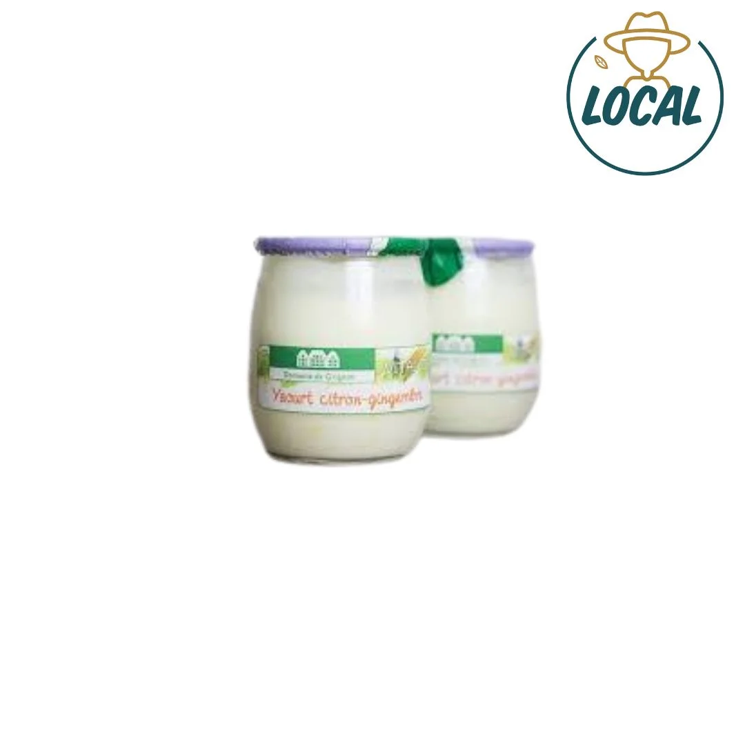 Yaourt citron gingembre x 1 - Vins Rouges Harmonieux pour Chaque Occasion - {'count': 1, 'name': '𝙁𝙧𝙪𝙞𝙩'}
