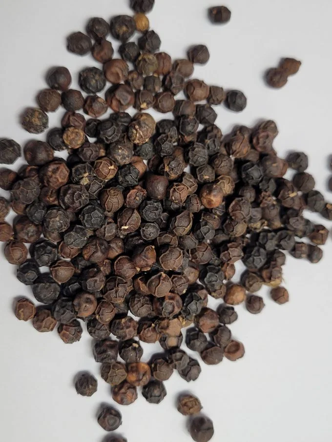 POIVRE ANTALAHA POUPRE 30g net MADAGASCAR - Vins Rouges Harmonieux pour Chaque Occasion - Champagne
