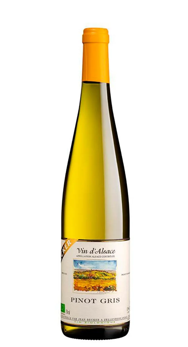 Alsace Pinot Gris Vins Rouges Harmonieux Occasion