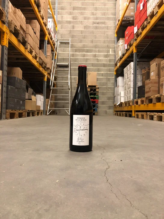 DOMAINE DE LA BORDE Pinot Noir Pinostradamus 2022 - Vins Vin Rouges Harmonieux pour Chaque Occasion