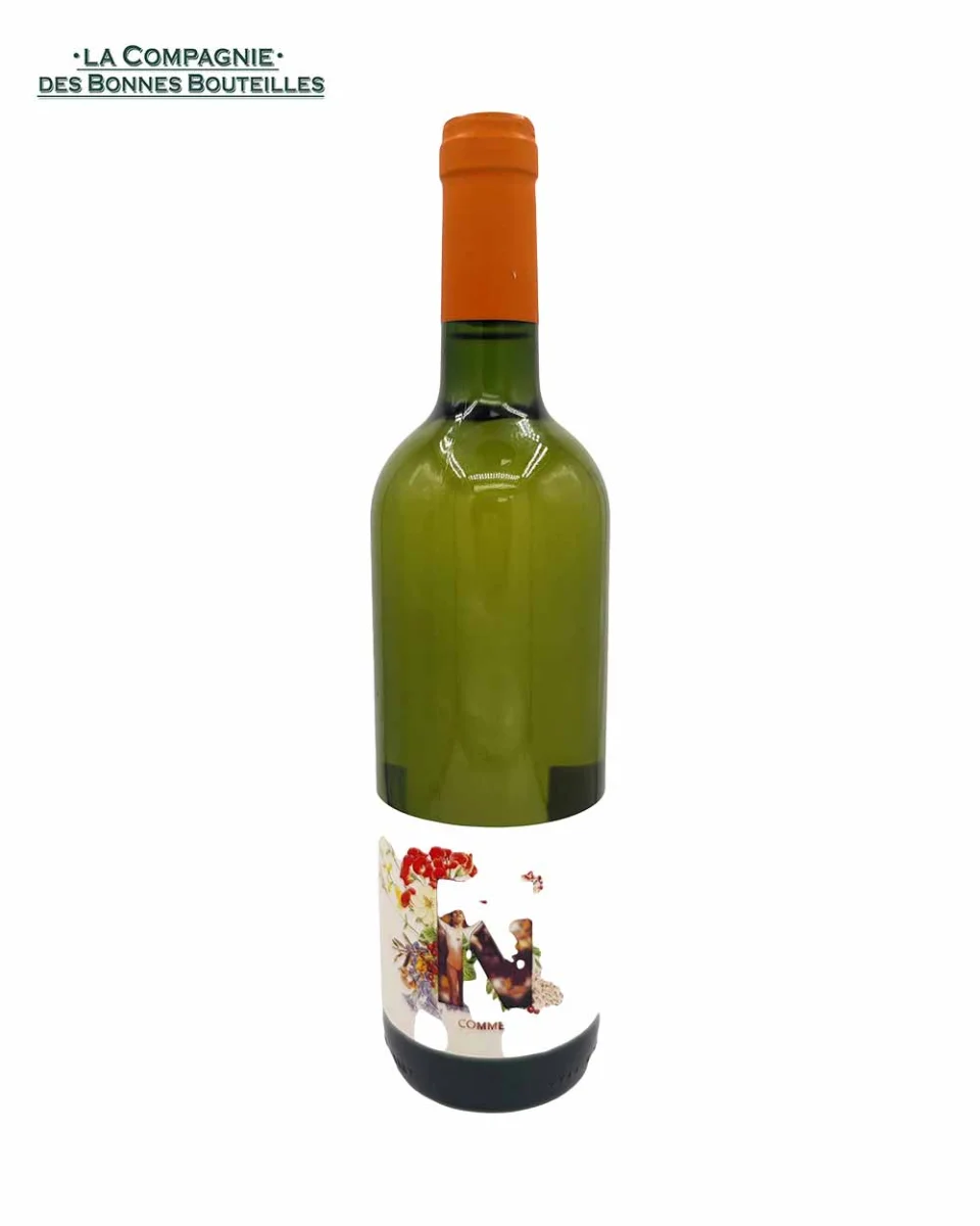 Vin Blanc Nadia Lusseau AOC Duras 75cl Vins Rouges Harmonieux Occasion
