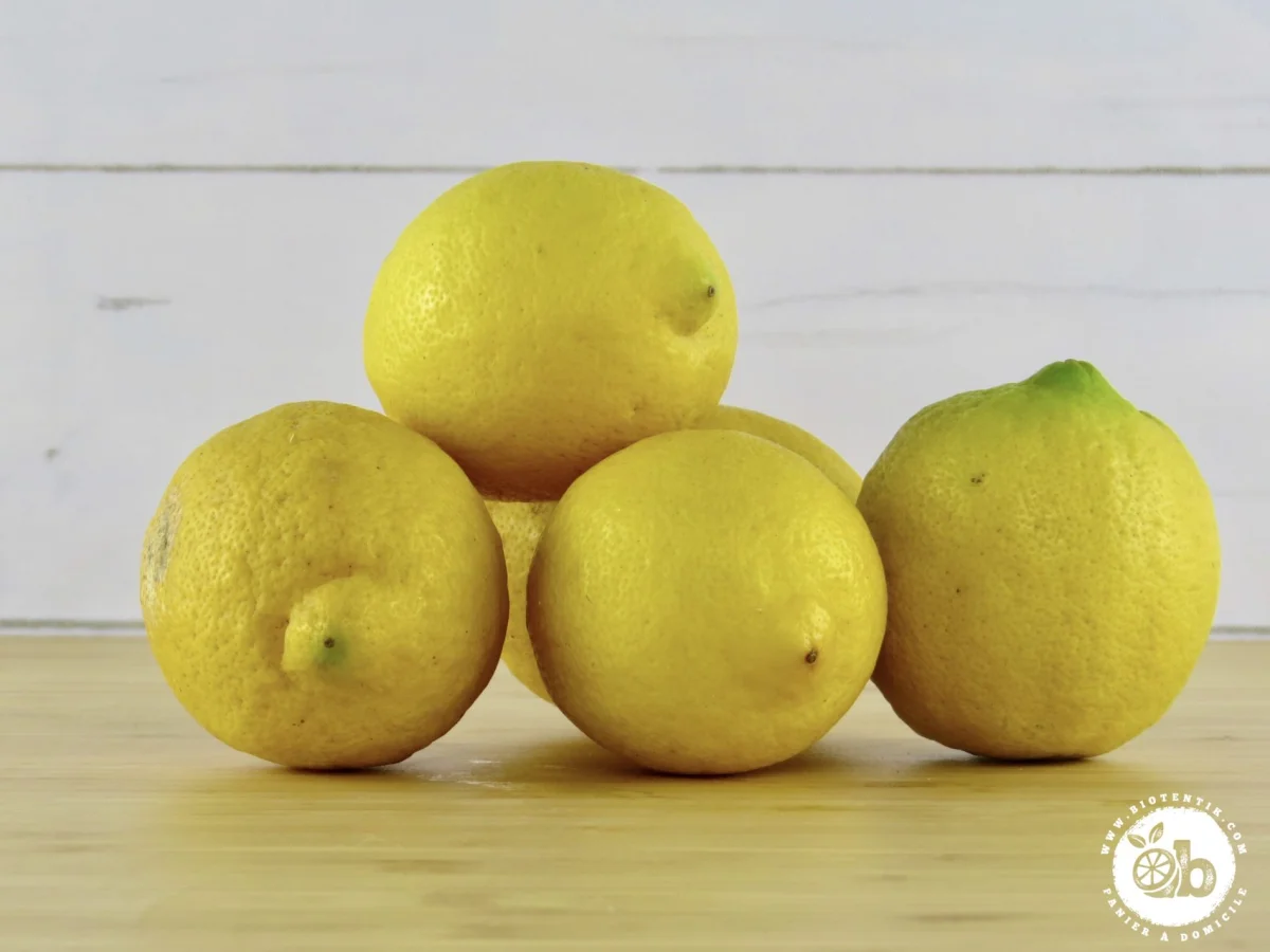 Citron jaune bio – Espagne - Offre limitée dans le temps ⏳ Ne tardez pas à commander ! - Emplois