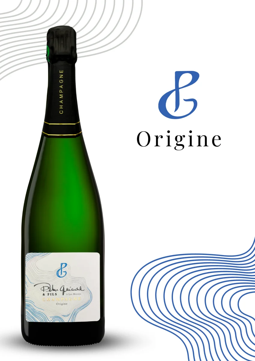 Champagne Brut Origine - Vins Rouges Harmonieux pour Chaque Occasion Caves à vins occasion en Île-de-France - ParuVendu