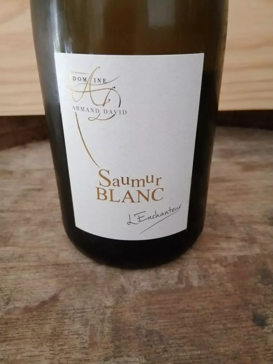 Domaine Armand David – L’enchanteur 2024 – Saumur - Vins Rouges Harmonieux pour Chaque Occasion Château Mirausse - Minervois "Le grand penchant" 2022