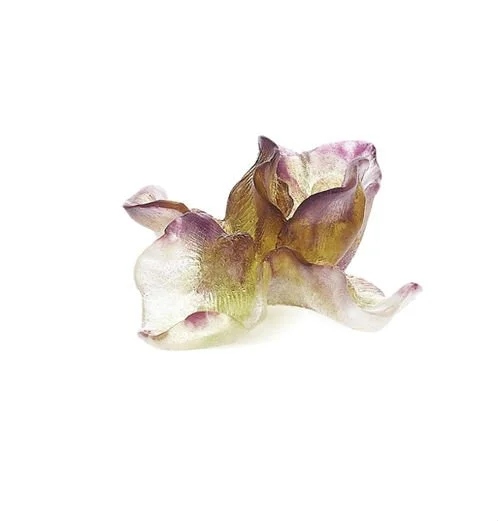 Purple flower iris daum - Vins Rouges Harmonieux pour Chaque Occasion - daum france daum vin occasion
